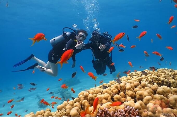 Faire de la plongée en apnée ou de la plongée sous-marine à l’île de la baleine (Hòn Ông)