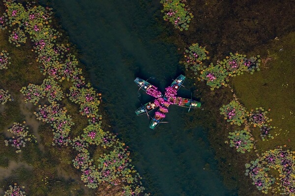 Attraction saisonnière constitue désormais une nouvelle expérience touristique