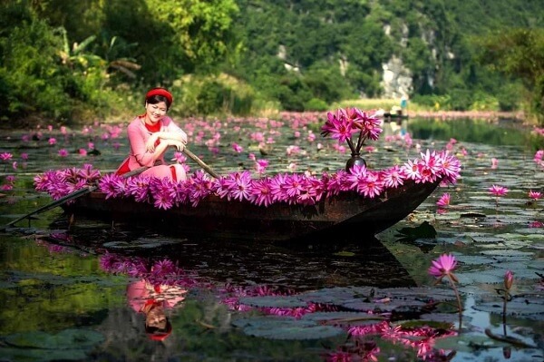 Thung Nang à la saison des fleurs du nénuphar