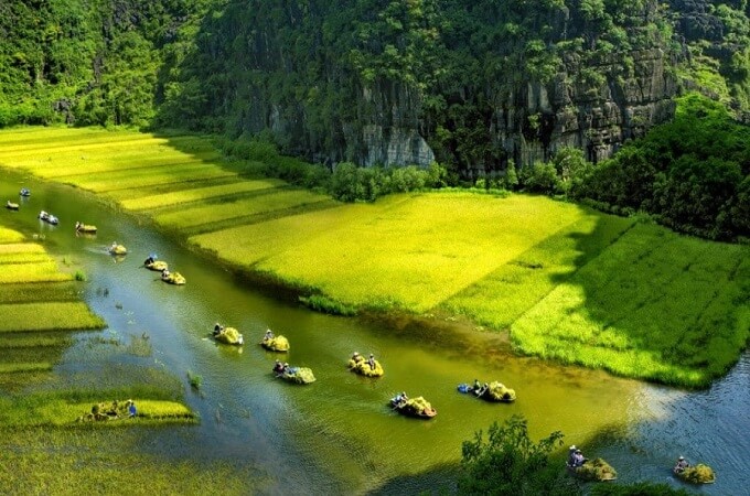 Ninh Binh à la saison de récolte