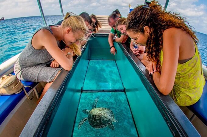 Le bateau à fond de verre emmène les voyageurs à visiter la baie de Vinh Hy