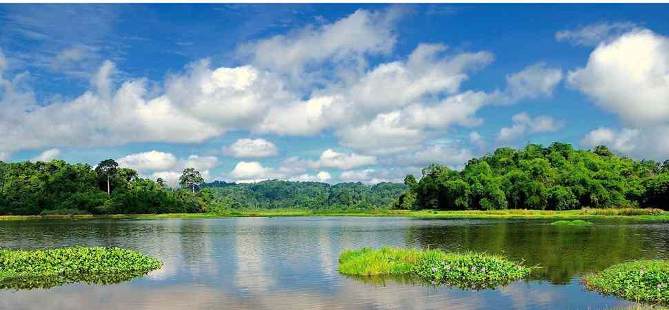 Parc National de Cat Tien