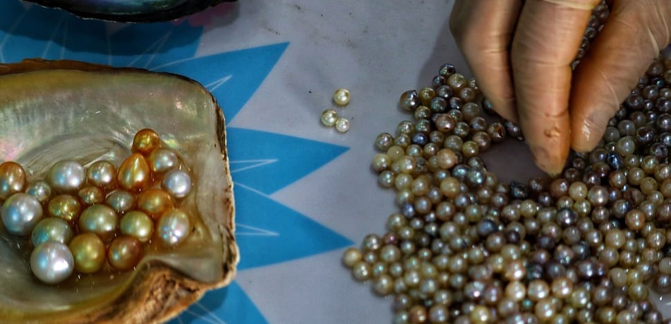 la culture des Perles