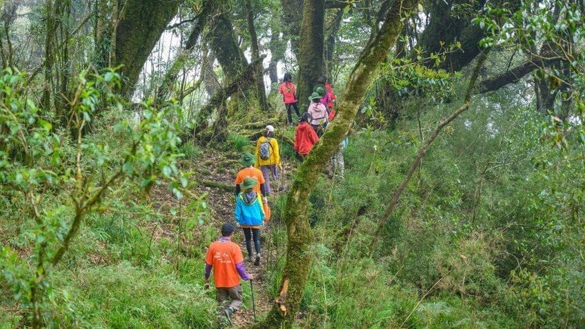 Que faire parc national Phu Quoc randonnée