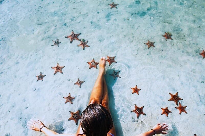 Rach Vem est le « royaume » de milliers d’étoiles de mer rouges