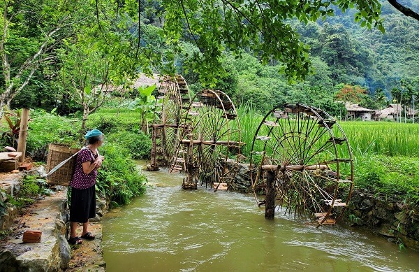 Approche écologique pour découvrir la culture ethnique