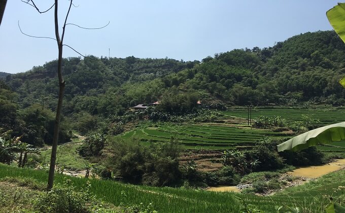 Petite maison nichée entre les champs