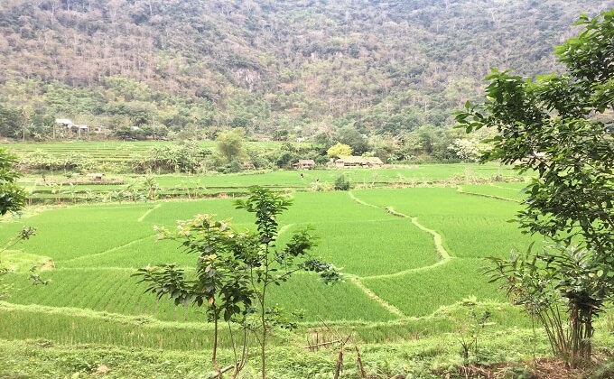 Sortie de forêt pour rejoindre le village