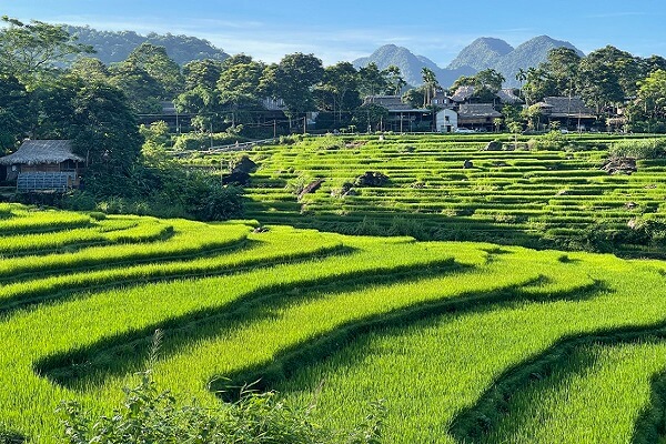 Vue imprenable depuis Valley Home