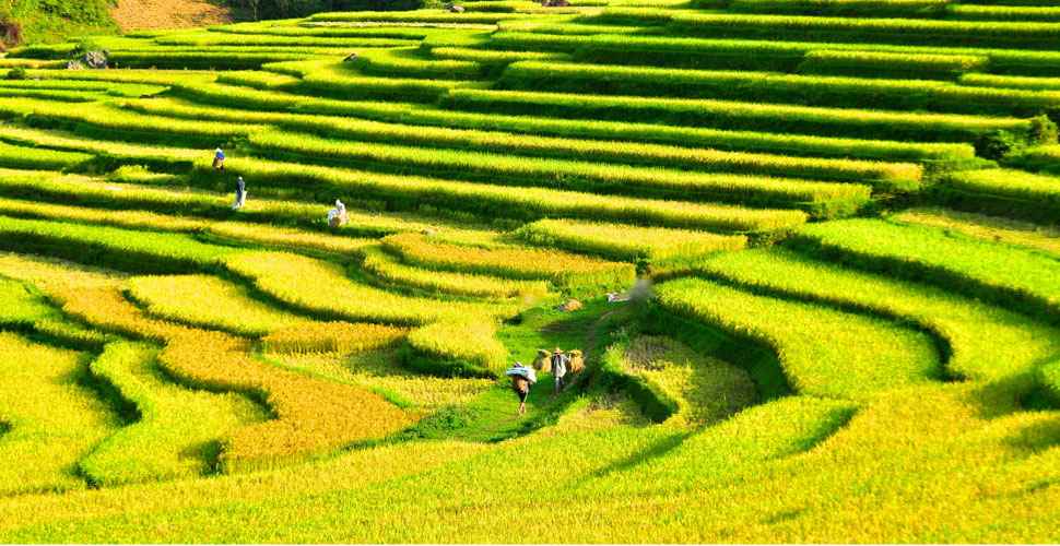 La_Reserve_de_Pu_Luong