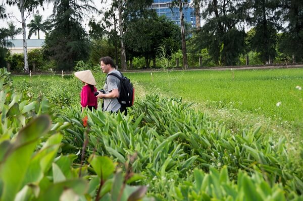 Découverte en profondeur de la culture