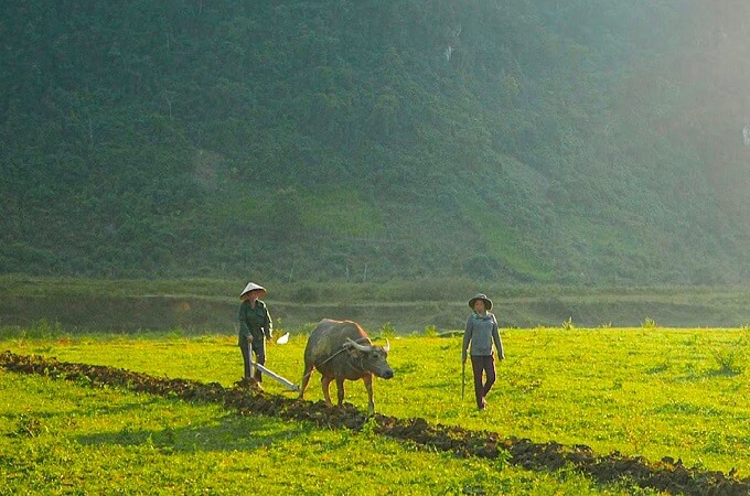 Le village Tan Hoa vous offre des paysages magnifiques