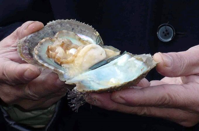 La fabrique à perles Quang Ninh