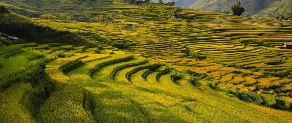 Randonnée-a-Sapa