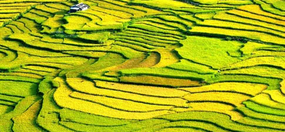 Circuit_a_moto_au_Vietnam