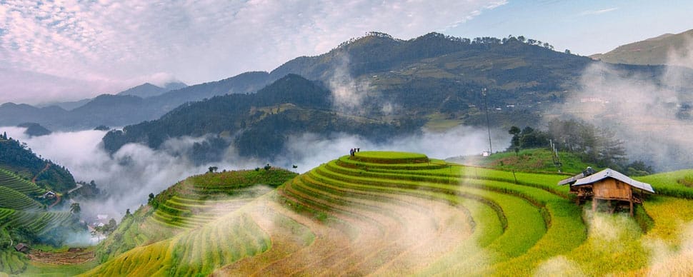 Rizieres_Nghia-Lo