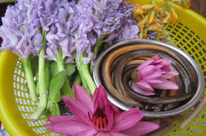 Les ingrédients pour la soupe à la jacinthe d’eau (Nam Cat Tien)