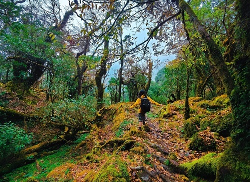 L’impression d’être perdus dans un pays féerique