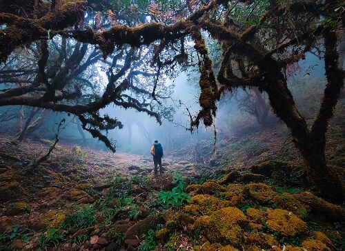 Vous devrez prévoir des tentes