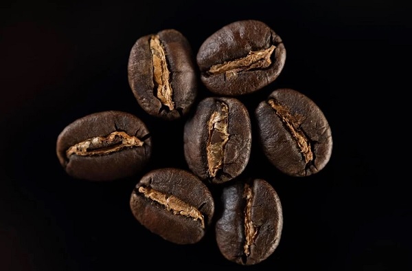 Graines du café robusta