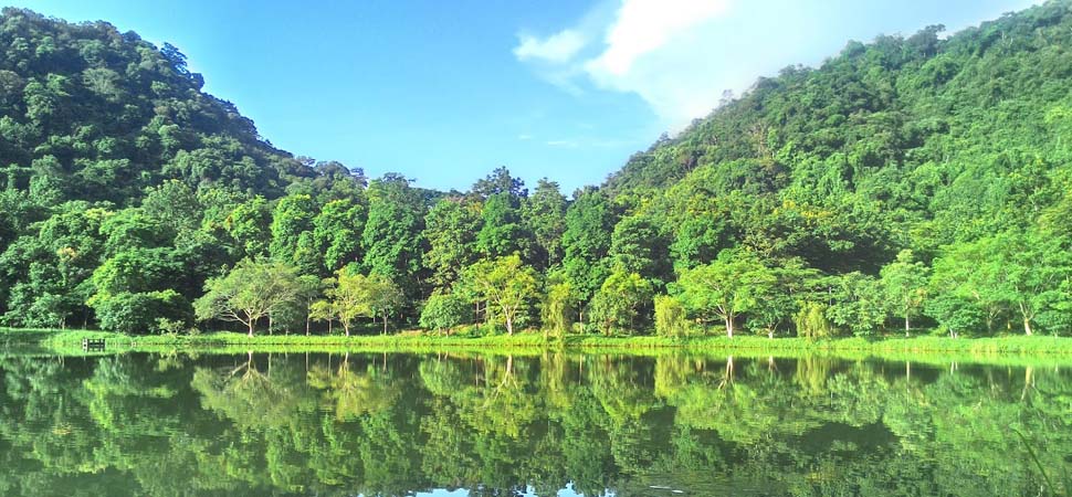 Parc national de Cuc Phuong 