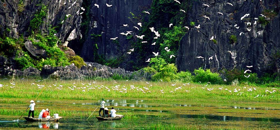 Van Long Ninh Binh