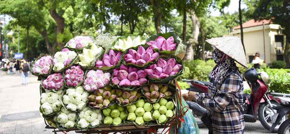Vendeuse de fleurs à Hanoi