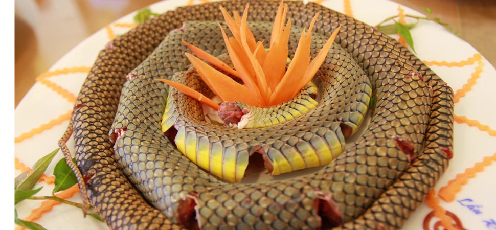 La viande de serpent