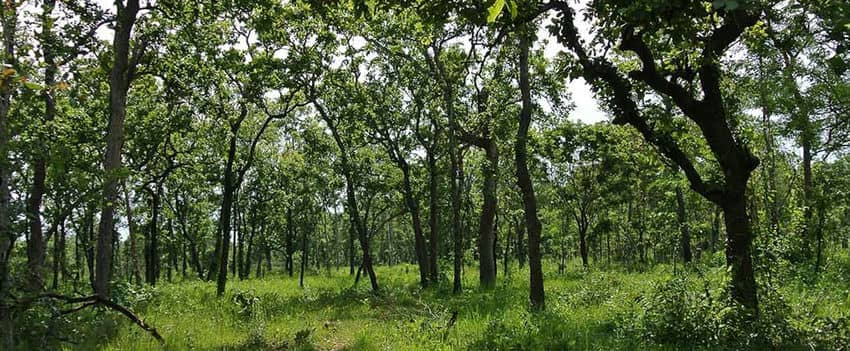 Wild-life-sanctuaire