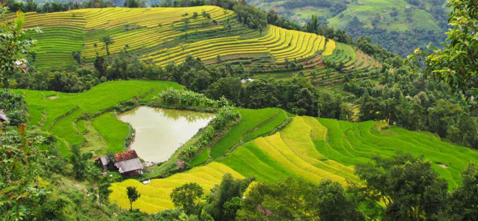 Xin-Man