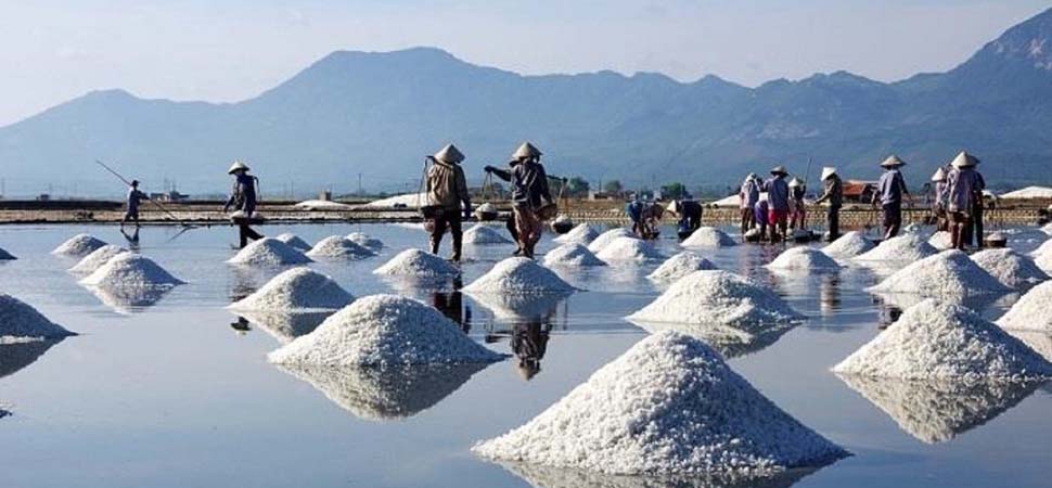 Les marais salants Vietnamiens