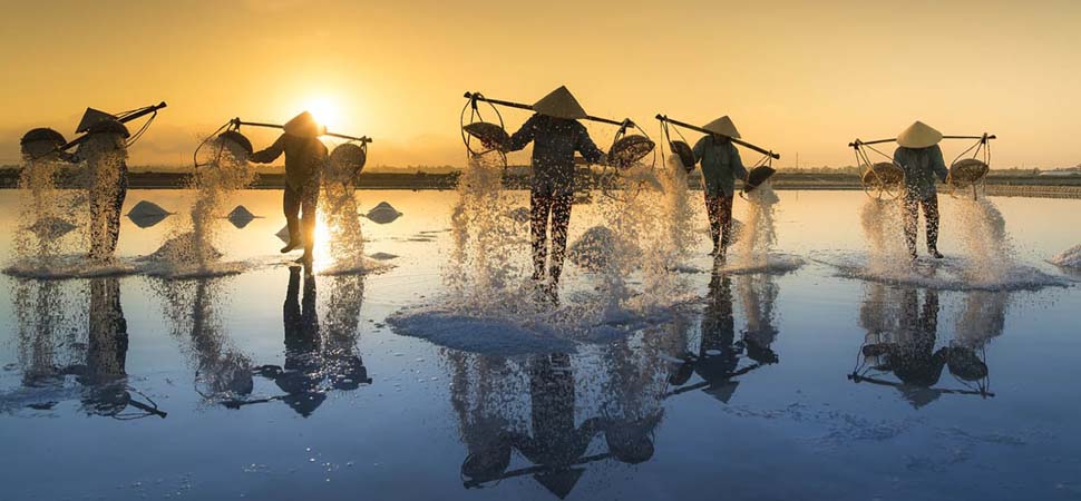 Les marais salants au Vietnam