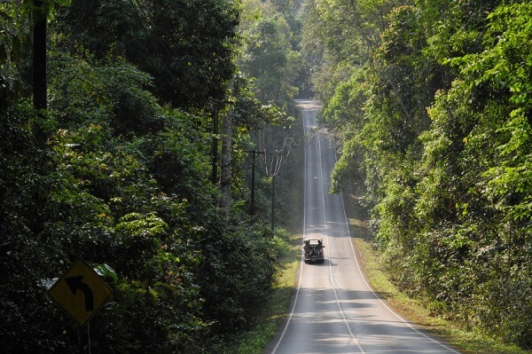 Chemin mené au parc Khao Yai