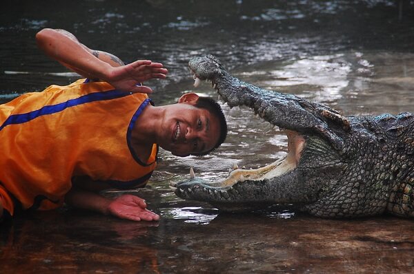 Ferme aux crocodiles de Samui
