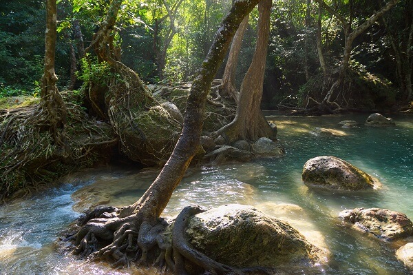 Piscine naturelle au parc national d’Erawan