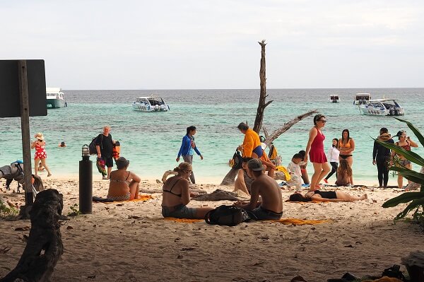 Soyez responsable de vos actes pour protéger l'environnement