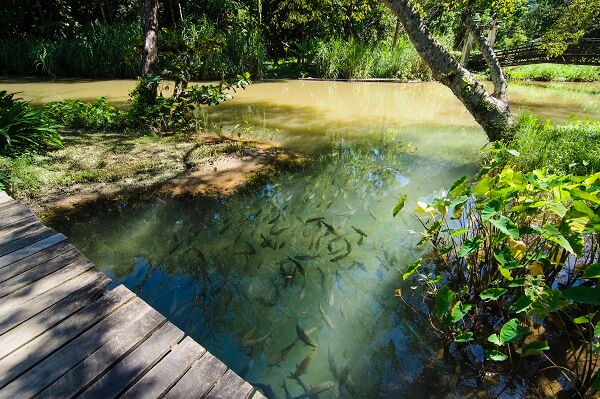 Sur le chemin du trek