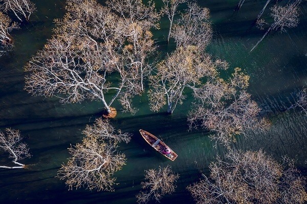Zone touristique Suoi Tia à Da Lat