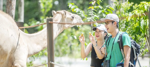 Les enfants adorent donner à manger aux animaux
