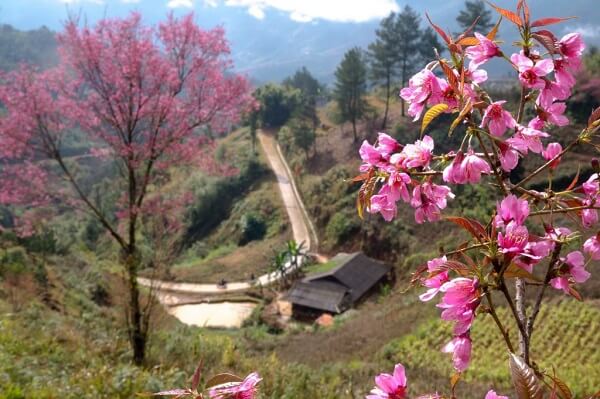Routes printanières du pays