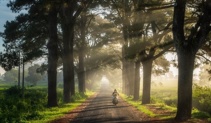 Soleil du matin sur la route Pleiku
