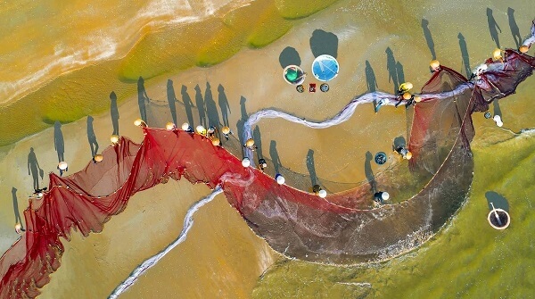 Travail acharné des pêcheurs capturé par un drône