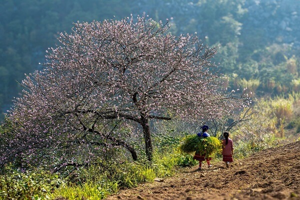 Ha Giang au printemps