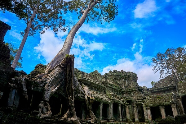 Les temples d'Angkor sont impressionnants