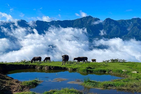 Col O Quy Ho à Lao Cai