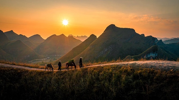 Colline d'herbes brûlées de Ba Quang