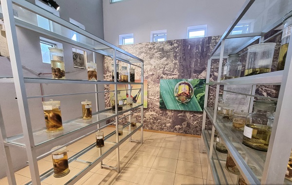 Le musée de Cuc Phuong