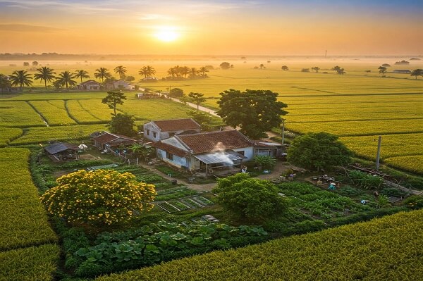 Dong veut dire cuivre en vietnamien