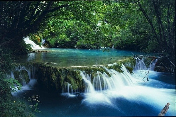 Les bassins d'eau dans le parc national Bach Ma