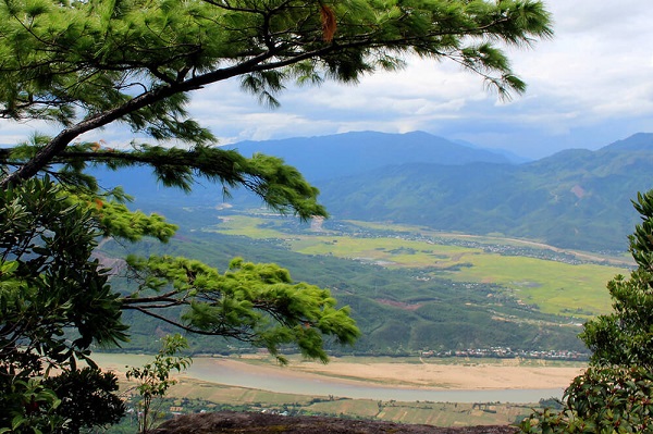 Forêt de pins à Da Lat